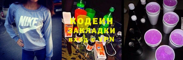 индика Абаза