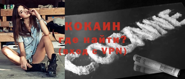 индика Абаза