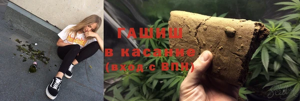 индика Абаза