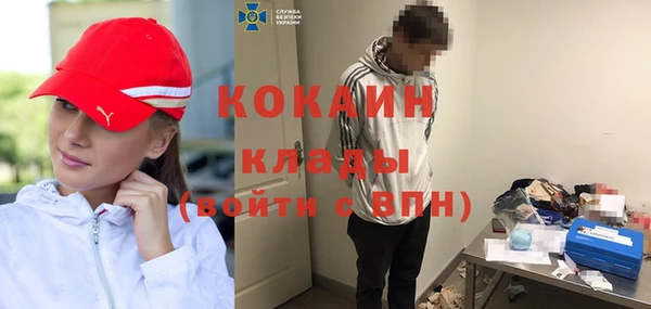 индика Абаза