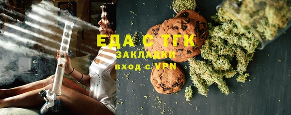 индика Абаза