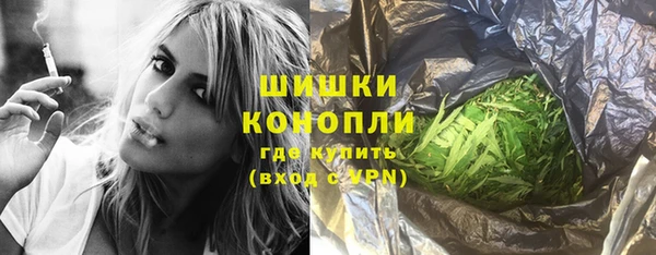 индика Абаза