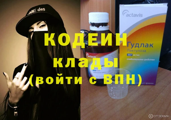 индика Абаза